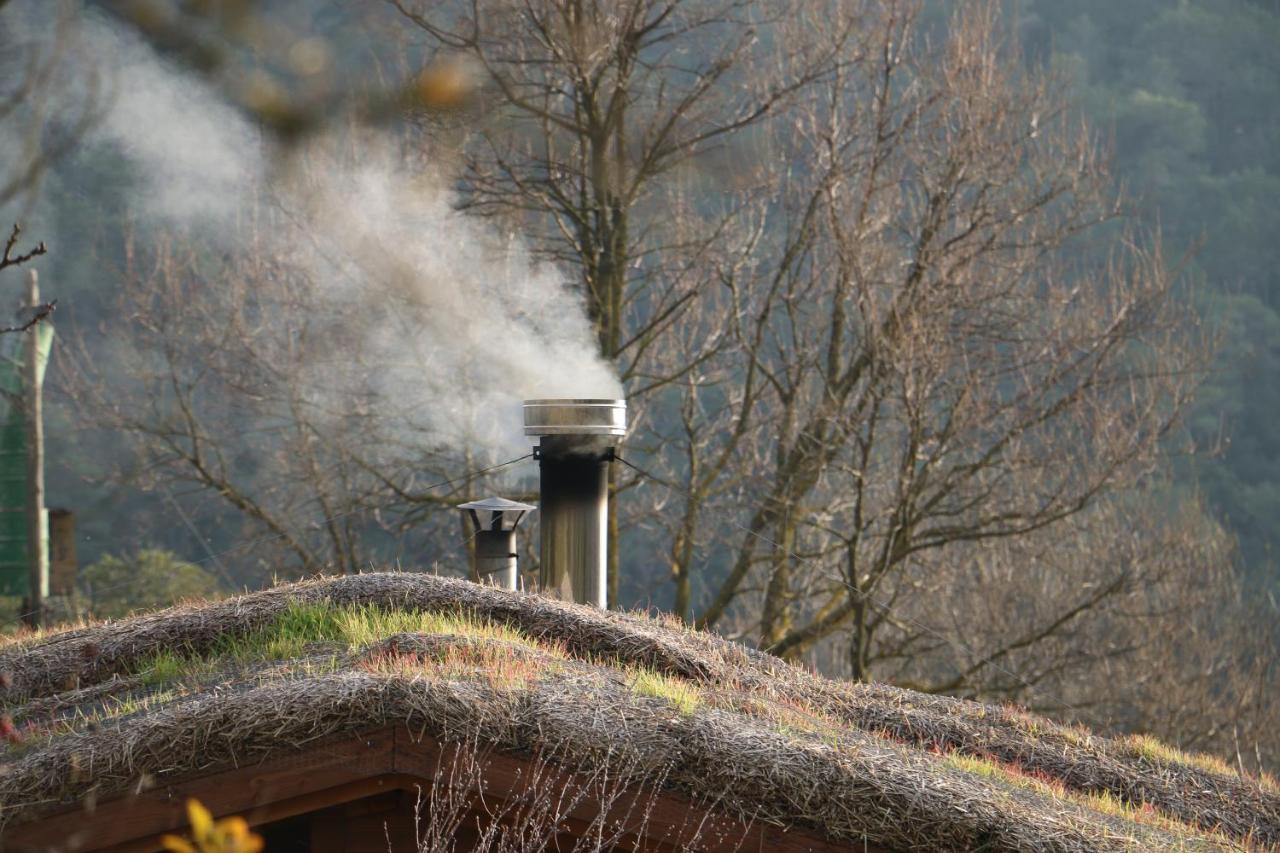 Arboli Casa Ecologica En Plena Naturaleza מראה חיצוני תמונה